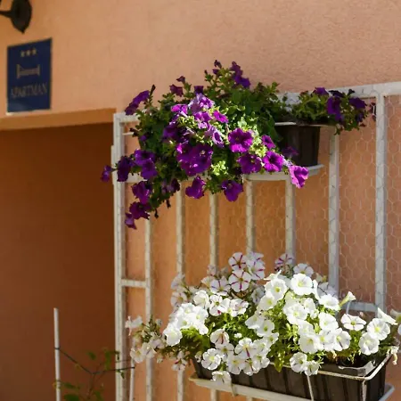 Isabella Appartement Makarska