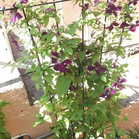 Isabella Apartament *